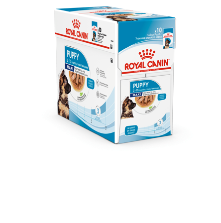 Royal Canin - Maxi Puppy Gravy 10 x 140 g - Hund - Hundefôr & hundemat - Våtfôr & våtmat - ZOO.no