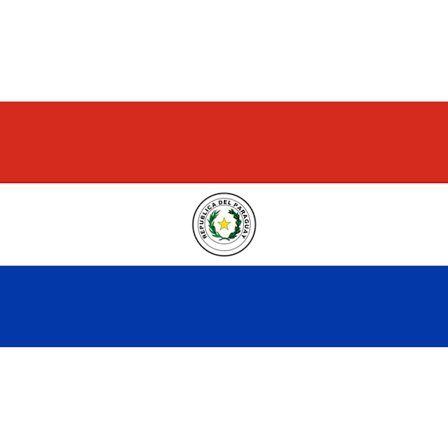[LCS] Paraguay flag 100