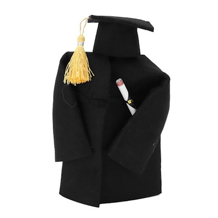 Bachelor Cap Gown Vinflaskeovertræk til Graduation Season Festdekoration Graduation Gave