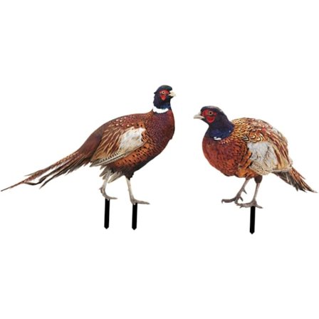 2 st dekorativa prydnadsdjur, eleganta trädgårdsskulpturer för landskap, kycklingprydnader