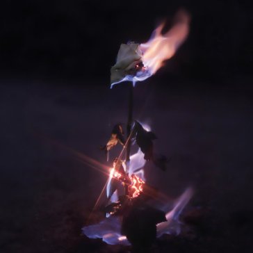 Momentary glow FARWARMTH