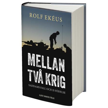 Mellan två krig : Saddams fall och IS födelse 9789100158897