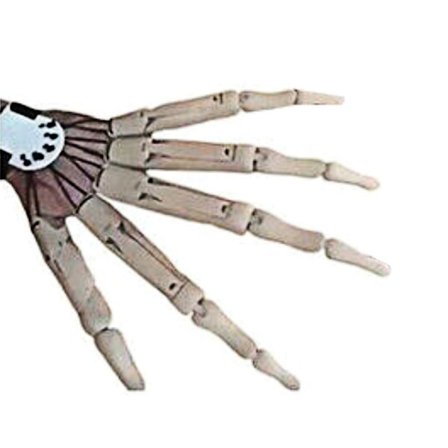 Articulated Fingers Flexible Joints Skeleton Hand Extensions Halloween Party Prop