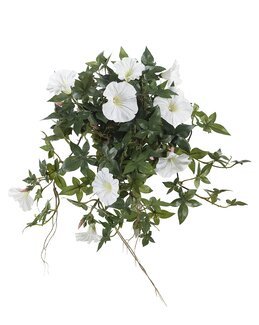 Konstväxt hängande med klockformade blommor Vit - Mr Plant