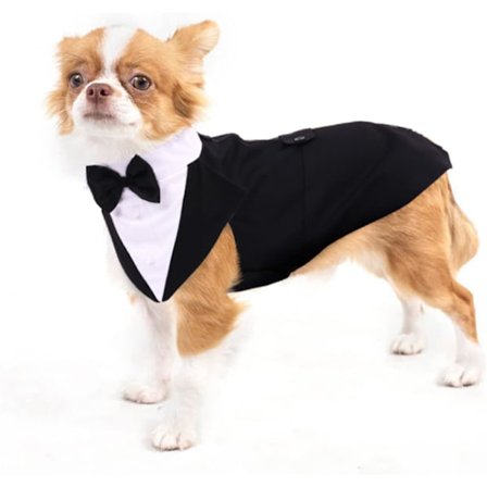 Hunde Julekjole Halloween Hundetøj Hundetøj til Små Hunde Fødselsdagsbandana Hundekjole Kostumer Formel Hunde/Katte Smoking (Sort, S) S