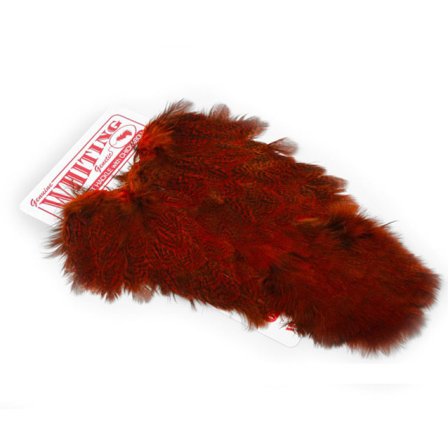 Whiting Coq De Leon Hen SH/C Speckled dyed Orange