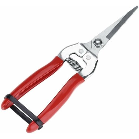 Bonsai-plantesaks, 100% rustfrit have-saks. Saks til blomsterbinding og havearbejde Colibri KLB