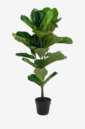 House Nordic - Krukväxt Fiddle, konstgjord, H100 cm - Grön - Konstgjorda växter & plastblommor - Från Homeroom