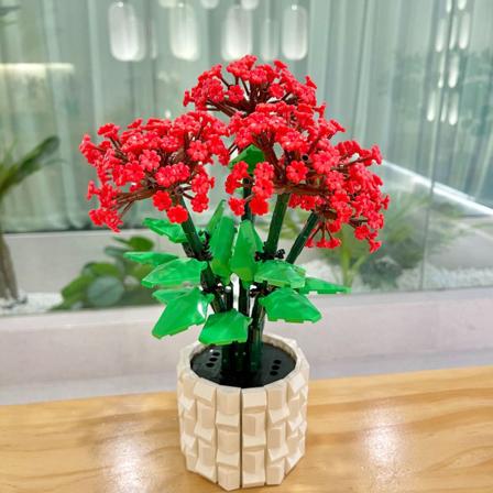 Autoseikkailulelut, autorataleikit