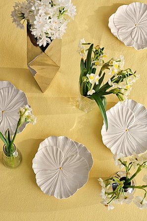 Jotex - Teller Mit 4er-pack Weiß - ELVA - Kaufe Teller bei Jotex