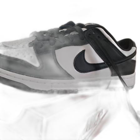 Dunks low