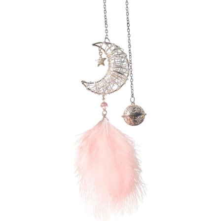 Bildekoration för inredningsspegel Naturlig fjäder Måne Drömfångare