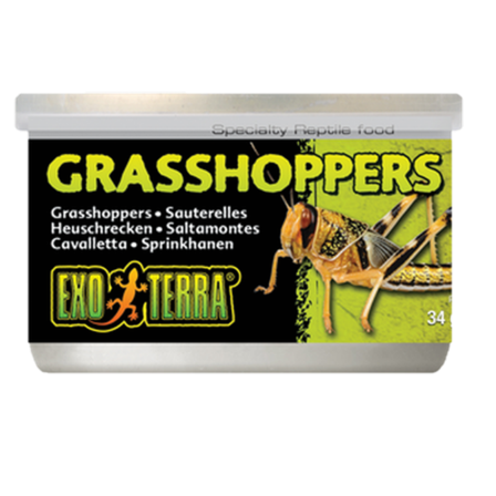 Exoterra - Grasshoppers - Hermetisert spesialfôr for reptiler Svart 35 g - Reptil - Reptilfôr og reptilmat - Tørkede fôrinsekter for reptiler - ZOO.no