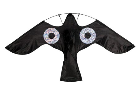 Reserve roofvogelvlieger