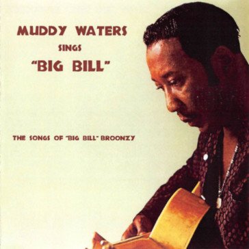 Sings big bill broonzy Muddy Waters
