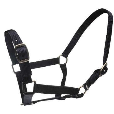 Roma Horse Headcollar Och Leadrope Pony Navy