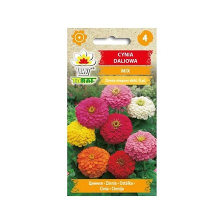 Zinnia Dahlia Mix