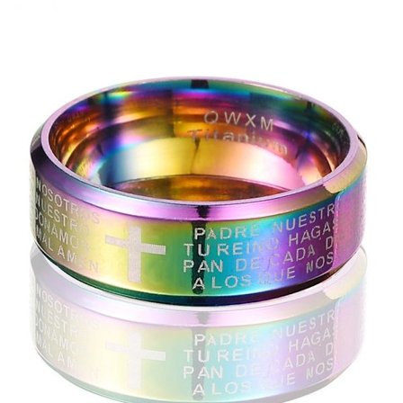 Rostfritt stål ring 8MM