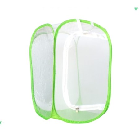 Insekt Sommerfugl Habitat Bur Opdræt Box Mesh Luftgennemstrømning Pop-Up 39*41*60cm Grøn