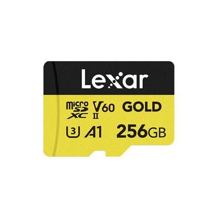 LEXAR Professional Gold 256 Gb