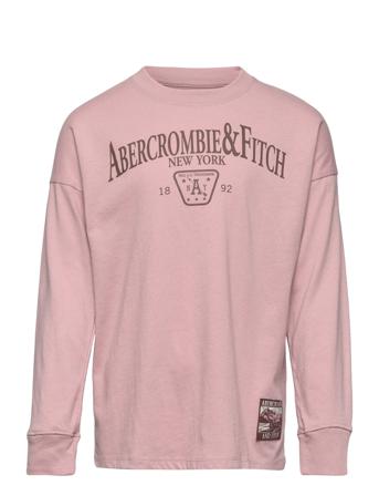 Kids Girls Graphics Langærmet T-shirt Lyserød Abercrombie & Fitch
