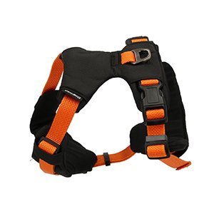 Dogman Y-Sele Justerbar, Sport