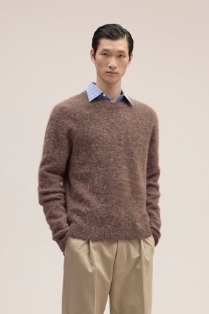 NN07 Russell male Brown