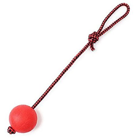 Små kjæledyrleker, gummiballtau-hundeleker, trening katt tyggeleker