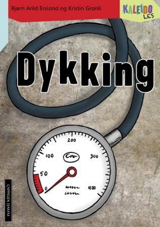 Kaleido les - Bok av Bjørn Arild Ersland - Paperback