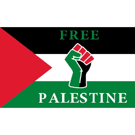 Palestina flagg 150*90 cm