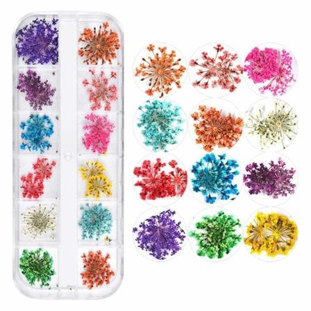 3D Nail Art Tørkede Blomster-klistremerke 12 farger Naturlig Ekte Tørr, ZQKLA