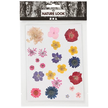 Creativ Company Tørrede blomster og blade Blandede farver