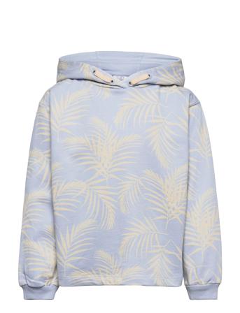 Sarine - Sweatshirt Blue Hust & Claire