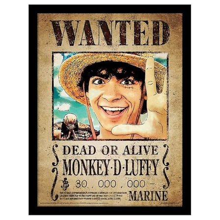 One Piece Live Action Wanted Poster Monkey D. Luffy Print