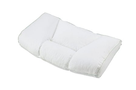 Fossflakes Chiropractic Pude inkl. Cover Large, Tøj & Bolig, Puder, Specialpuder