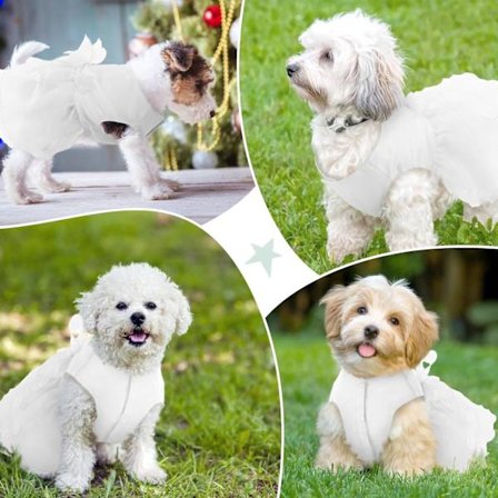 Brudekjole til hund, brudekjole, luksus kjole til hund, prinsessekjole, aftenkjole med butterfly (L, hvid)