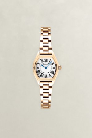 GANT Damen Caribou Armbanduhr (ONE SIZE) Weiß