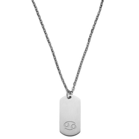 Collana in acciaio color argento con segno zodiacale Cancro per uomini - Collane in acciaio