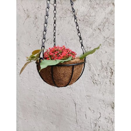 Kokospalme hængekurv hængende vævet urtepotte jernkrog potte vægophæng hængende sukkulent urtepotte