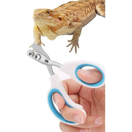 11,5x6cm Negleklippere i rustfritt stål for skjeggagam, øgle, forsyninger til skjeggagam, neglesaks for små reptiler, skilpadde C