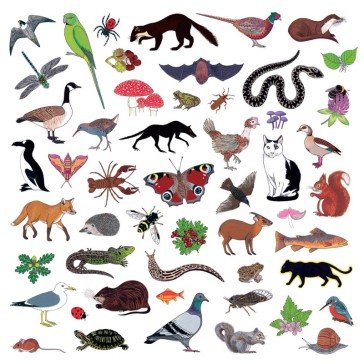 Island of noise MODERN NATURE