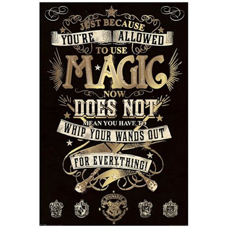 Harry Potter Affisch Magic 282