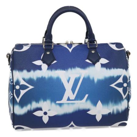 Louis Vuitton Vintage, Pre-owned Canvas Speedy Blauw, Dames, Maat:ONE Size