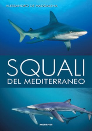 Squali del Mediterraneo. Ediz. a colori Alessandro De Maddalena