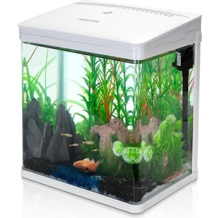 Glasakvarium - NOBLEZA - 14L - LED-belysning - Ekologisk filtrering - Integrerad pump