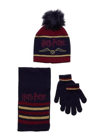 Set Cap + Scarf + Gloves Accessories Winter Accessory Set Multi/mønstret Harry Potter
