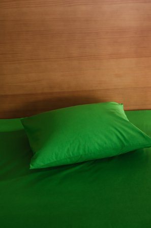 Jotex - Putetrekk Økologisk Ertegrønn - ZACK - Kjøp Putevar hos Jotex