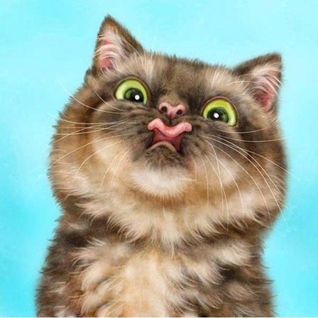 30x40cm 5D DIY Diamantmaleri Fuld,Chaton#N,DIY Diamant Rhinest