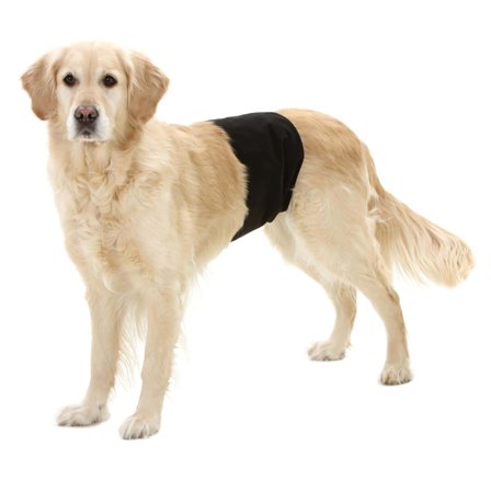 Hannhund-belte XL -Magebånd Hund