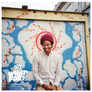 What for? Toro Y Moi